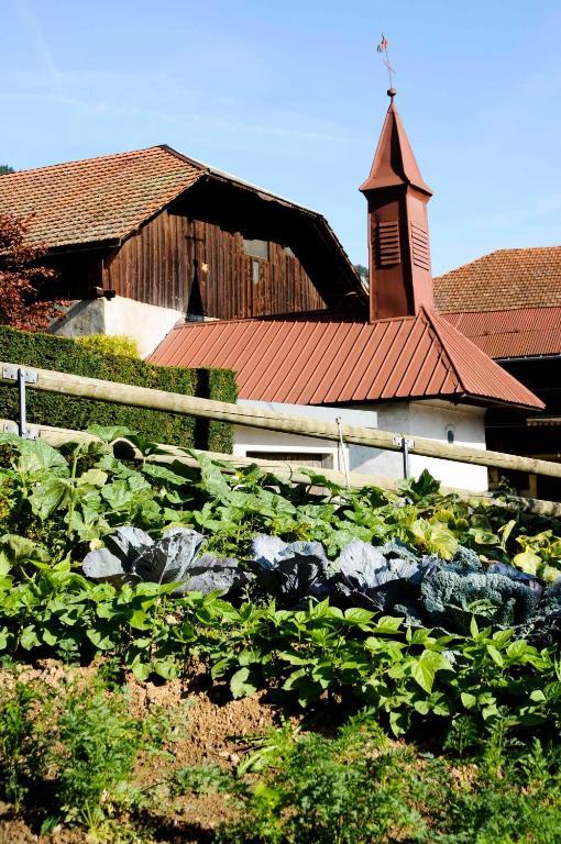 La Ferme D Emilienne Panzió Sallanches Kültér fotó